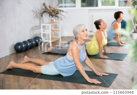 Mature lady performs asana pose dog muzzle up, Urdhva Mukha Shvanasana 115603948