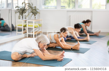 Elderly woman stretching into Janu Sirsasana during group yoga session Elderly woman stretching into Janu Sirsasana during group yoga session 115604318