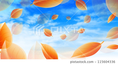 Autumn leaves autumn background Autumn leaves autumn background 115604336