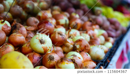 Bulbs of onions in plastic crate Bulbs of onions in plastic crate 115604367