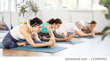 Adult woman doing yoga in group in studio Adult woman doing yoga in group in studio 115604401
