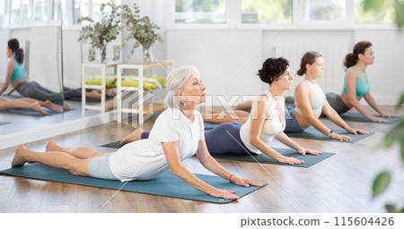 Senior woman doing Upward Facing Dog pose at group yoga workout Senior woman doing Upward Facing Dog pose at group yoga workout 115604426
