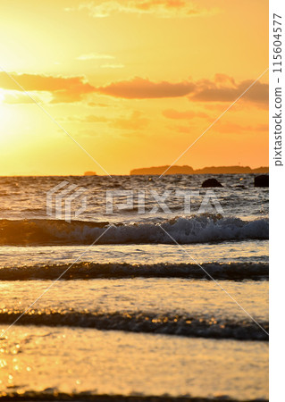 The sea sparkling in the sunset 115604577