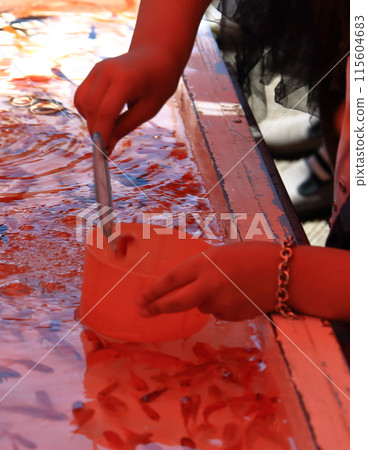 Goldfish scooping  115604683