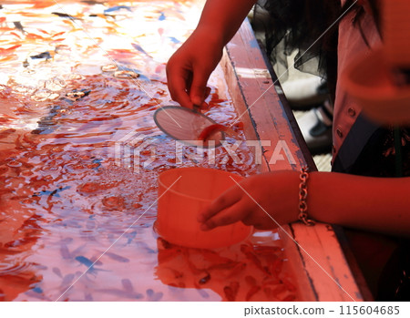 Goldfish scooping  115604685