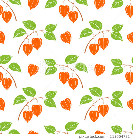 Orange physalis autumn pattern, decorative branch on white background. Orange physalis autumn pattern, decorative branch on white background. 115604721