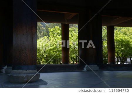 京都市左京區南禪寺山門的新綠 115604780