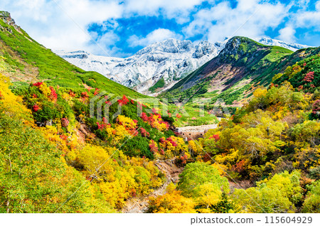 Snow-capped Mt. Tokachi and autumn foliage spreading at the base - From Tokachidake Onsen Ryounkaku 115604929