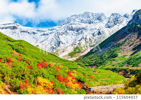 Snow-capped Mt. Tokachi and autumn foliage spreading at the base - From Tokachidake Onsen Ryounkaku 115604937