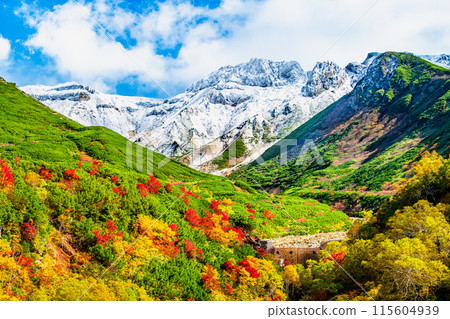 Snow-capped Mt. Tokachi and autumn foliage spreading at the base - From Tokachidake Onsen Ryounkaku 115604939