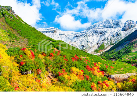 Snow-capped Mt. Tokachi and autumn foliage spreading at the base - From Tokachidake Onsen Ryounkaku 115604940