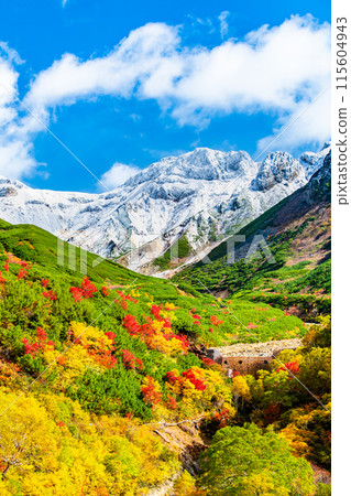 Snow-capped Mt. Tokachi and autumn foliage spreading at the base - From Tokachidake Onsen Ryounkaku 115604943