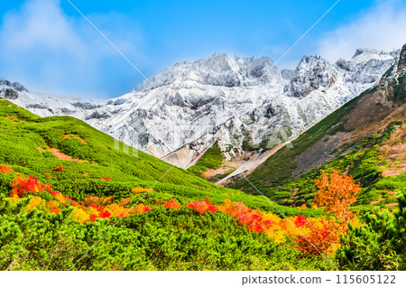十勝岳白雪覆蓋，秋葉在山腳下蔓延 115605122