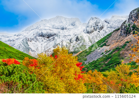 十勝岳白雪覆蓋，秋葉在山腳下蔓延 115605124