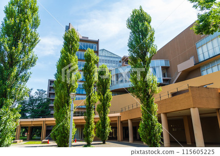 森林中的東京外國語大學府中校區 115605225