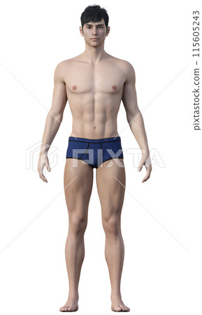 Body fat percentage 12% Illustration of a thin male Japanese 3D model full body front 115605243