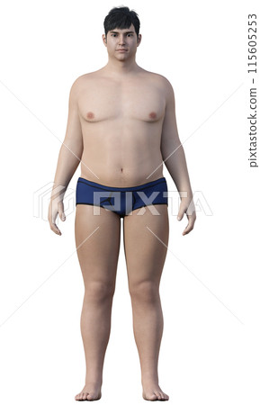 Body fat percentage 35% Illustration of an overweight and obese man Japanese 3D model full body front 115605253