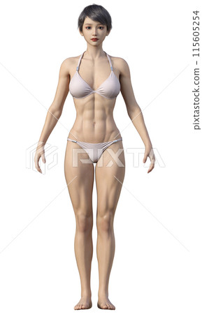 Body fat percentage 15% Illustration of a thin athletic woman Japanese 3D model full body front 115605254