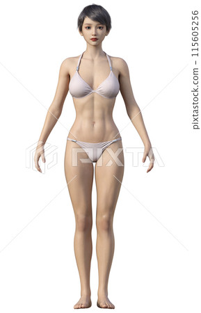 體脂率25%的苗條模特兒身材女性插畫 日本3D模型全身正面圖 體脂率25%的苗條模特兒身材女性插畫 日本3D模型全身正面圖 115605256