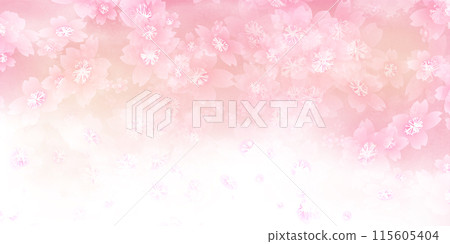 Cherry blossom spring pink background Cherry blossom spring pink background 115605404