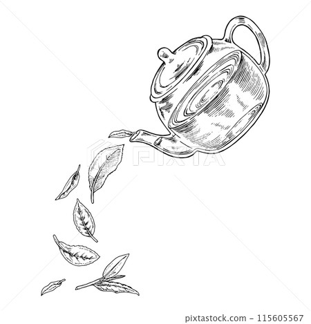 Tea leaves are pouring out of the Teapot. Vector hand drawn illustration. Glass pot sketch drawing. Black and white vintage art. Editable composition with backgrounds. For herbal drinks and cards Tea leaves are pouring out of the Teapot. Vector hand drawn illustration. Glass pot sketch drawing. Black and white vintage art. Editable composition with backgrounds. For herbal drinks and cards 115605567