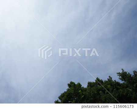 A relaxing space where you can feel the healing power of the sky, forest, greenery and wind 115606173