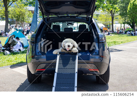 Image of a car ramp for unloading dogs Image of a car ramp for unloading dogs 115606254
