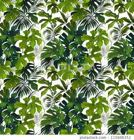 Seamless material: Repeatable leaves of tropical plants such as Monstera 115606352