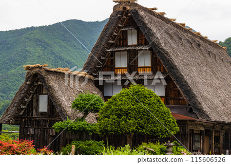[Gifu Prefecture_Shirakawa-go] Japan's original landscape in early summer 115606526