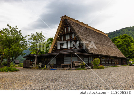[岐阜縣_白川鄉] 日本原汁原味的風景/初夏 115606528