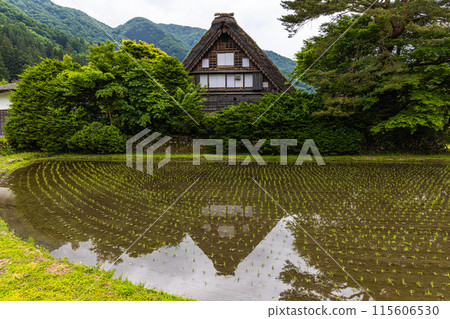 [Gifu Prefecture_Shirakawa-go] Japan's original landscape in early summer 115606530