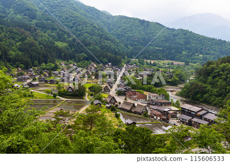 [Gifu Prefecture_Shirakawa-go] Japan's original landscape in early summer 115606533