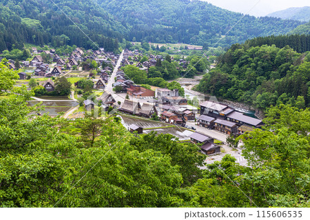 [Gifu Prefecture_Shirakawa-go] Japan's original landscape in early summer 115606535