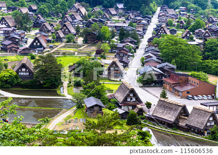 [岐阜縣_白川鄉] 日本原汁原味的風景/初夏 115606536