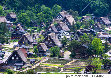 [Gifu Prefecture_Shirakawa-go] Japan's original landscape in early summer 115606538