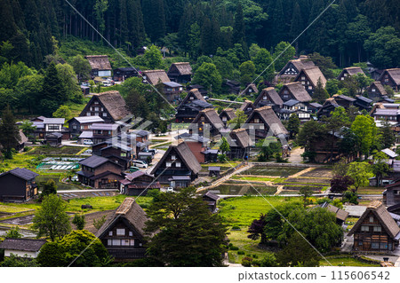 [Gifu Prefecture_Shirakawa-go] Japan's original landscape in early summer 115606542