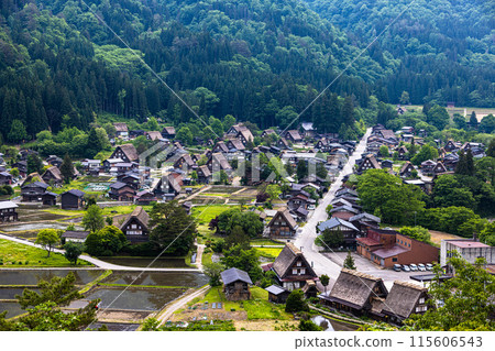 [Gifu Prefecture_Shirakawa-go] Japan's original landscape in early summer 115606543