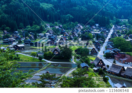 [Gifu Prefecture_Shirakawa-go] Japan's original landscape in early summer 115606548