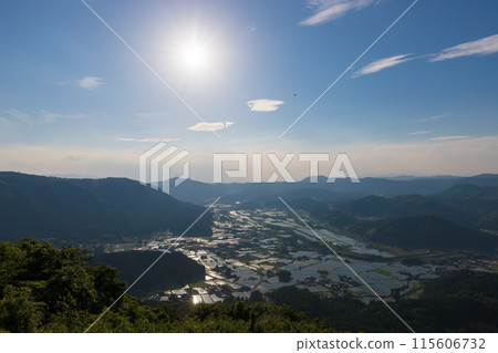 Rice fields and paragliders at dusk (Kuju Town, Oita Prefecture) 115606732