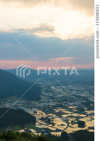 黃昏的稻田（大分縣楠町） 115606831