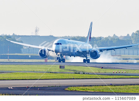 JAL789 Narita approach and Toyomi touchdown 115607089