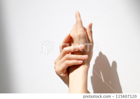 A woman's hands bathed in sunlight 115607120