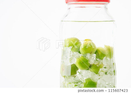 Close-up of homemade plum wine in a bottle 115607423