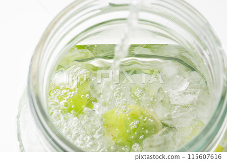 Make plum wine Make plum wine 115607616