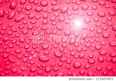 Close up of water droplets with shining light on red cover background. Water droplets concept 115607663