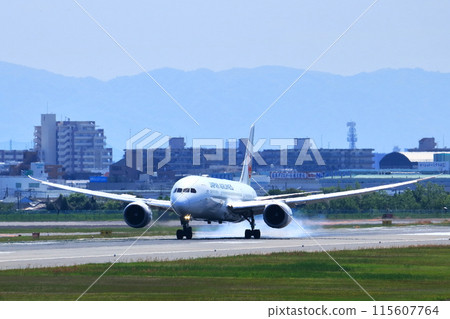 Osaka International Airport JAL Airplane Landing Ready Sky Park Osaka International Airport JAL Airplane Landing Ready Sky Park 115607764