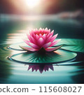 睡蓮 115608027