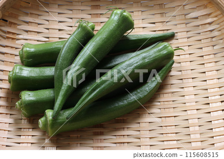 家庭菜園的秋葵 家庭菜園的秋葵 115608515