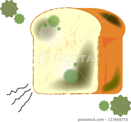 Illustration of moldy bread 115608750
