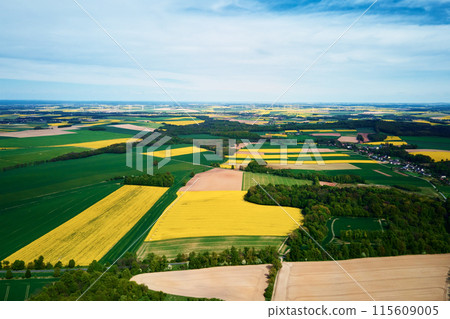 Aerial view of landscape with yellow rapeseed fields. Nature background with patchwork view of blooming agricultural fields Aerial view of landscape with yellow rapeseed fields. Nature background with patchwork view of blooming agricultural fields 115609005